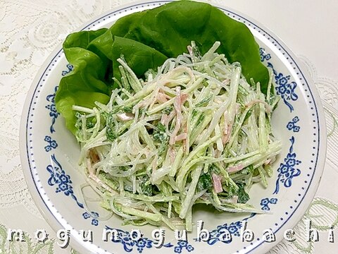 春雨と水菜のサラダ